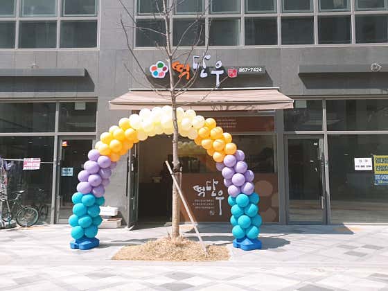 떡단우 사진