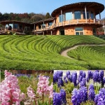 보성생태흙집펜션