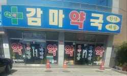 감마약국