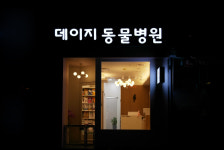 분당데이지동물병원