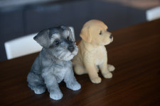 청호1박2일펜션