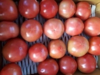 화천파로호농장