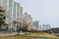 우리공인중개사사무소