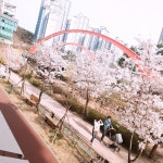 레아킴