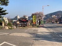 초당본점 순두부