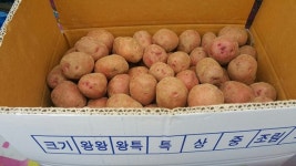 만재농장