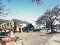 초당본점 순두부