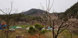 진당산 참새골농장