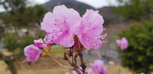 진당산 참새골농장