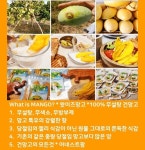 어네스트팜코리아