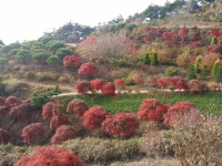 가사농원 제2농장