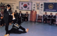 한민족합기도무술협회