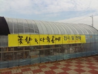 꽃향앤다육