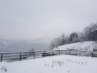 설악IC공인중개사사무소