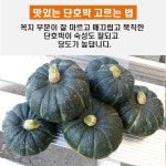 솔채농장
