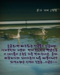 본가 거제고현점