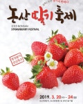 드림딸기팜