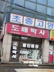 도배박사