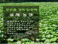 솔채농장