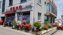 이가네버섯세상
