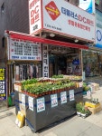더플러스 DC마트