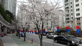 한성부동산 공인중개사 사무소