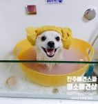 미소애견샵