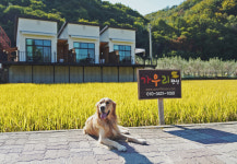 가우리 펜션