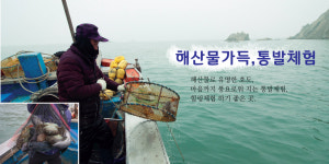 호도섬 만복민박