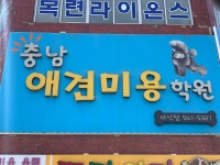 충남애견미용2관학원 | 충남애견미용학원