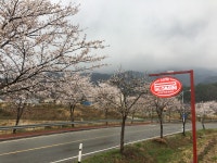 팔롬비니 계룡점