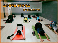 소마힐링요가필라테스교정센터 신사점