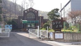 늘푸른교회