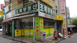 초록공인중개사사무소