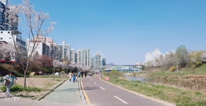 복돼지공인중개사사무소