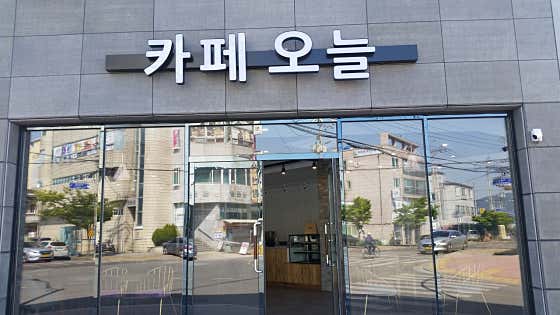 카페 오늘 사진