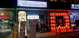 닭코치비어선수 진도1호점