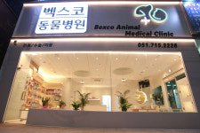벡스코동물병원