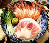강스시