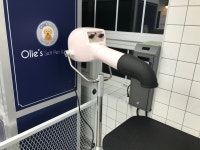 올리스24시애견셀프목욕 방이점