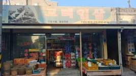 고려인삼