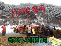 승주네포도복분자농원 | 승지농원