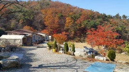 청풍마을펜션