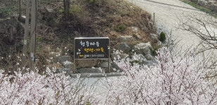 청풍마을펜션