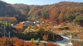 청풍마을펜션