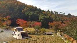 청풍마을펜션