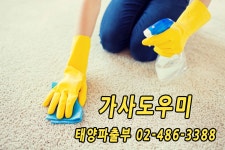 태양파출부