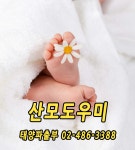 태양파출부