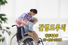 태양파출부