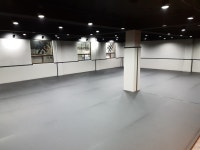 서울대입구 주짓수
